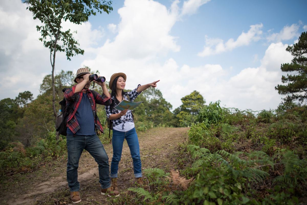 Embrujo Verde Las Esmeraldas — Avistamiento de aves en la ruta