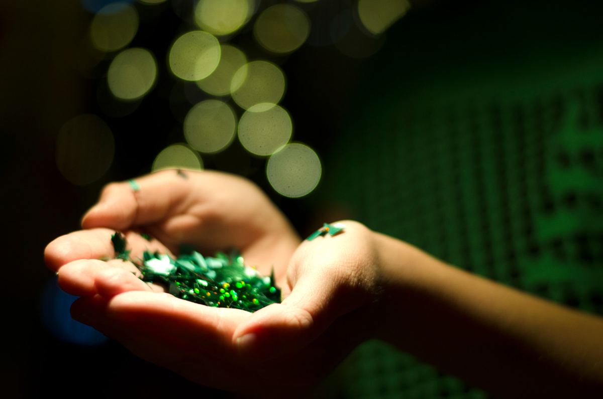 Pasadía De Negocios — El verde que se lleva en las manos